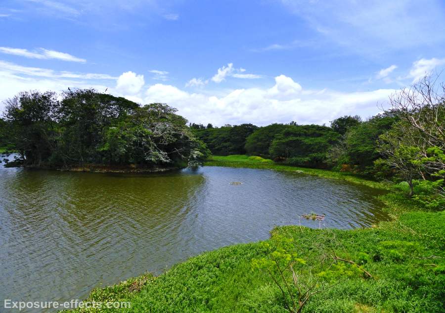 Karanji Lake – Mysore – India
