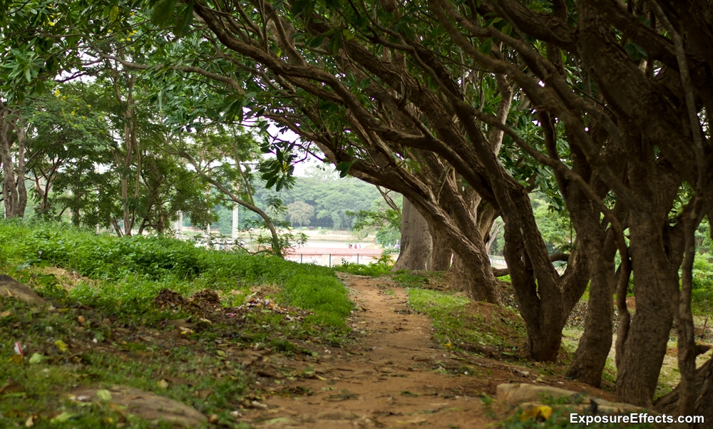 Lalbagh Botanical Garden in Bangalore