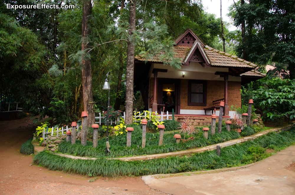 Misty Woods Coorg – Karnataka