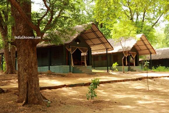 Galibore Nature Camp – Jungle Lodges and Resorts