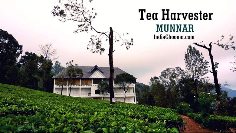 Munnar – Tea Harvester Review