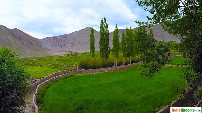 Leh Ladakh Village Stok