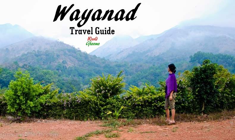 Wayanad Travel Guide | How to Explore Wayanad in 2 Days