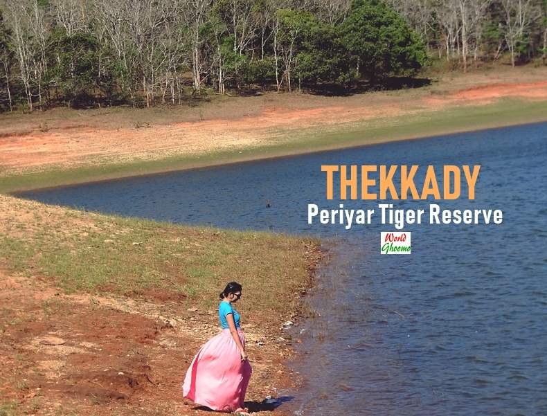 Thekkady Travel Guide | Everything You Need to Know