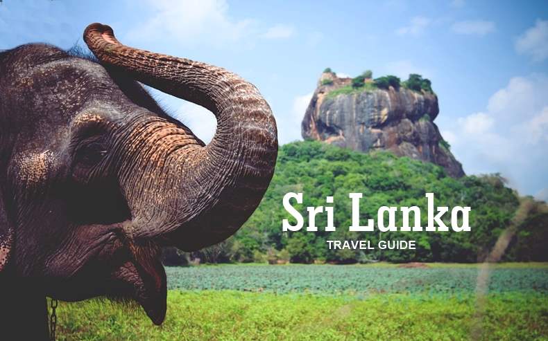 Sri Lanka Travel Guide | Everything you Need to Know Before Traveling