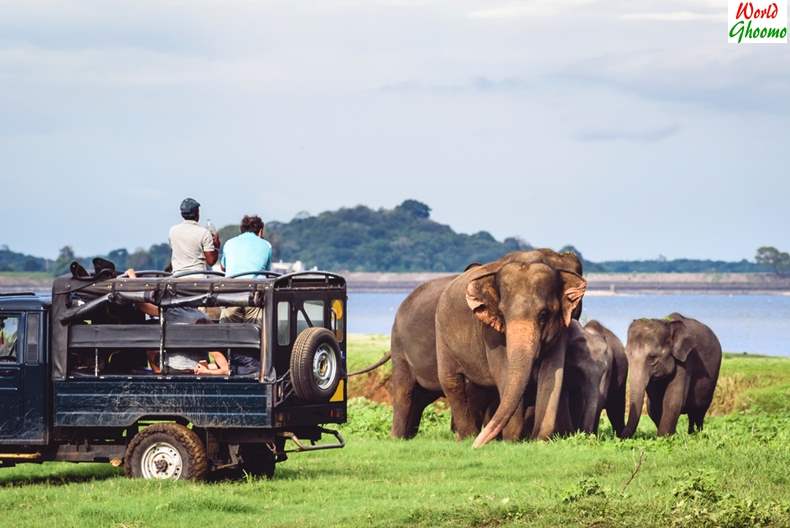 Sri Lanka Takes New steps to Promote Tourism