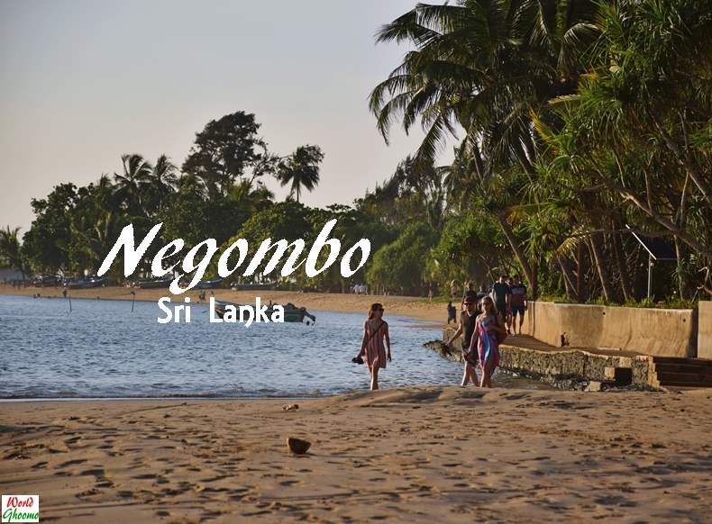 Negombo, Sri Lanka – Everything You Need To Know