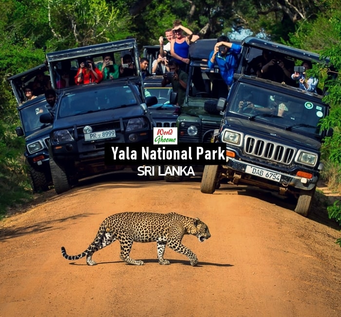 Yala National Park Safari – Sri Lanka | What To Expect
