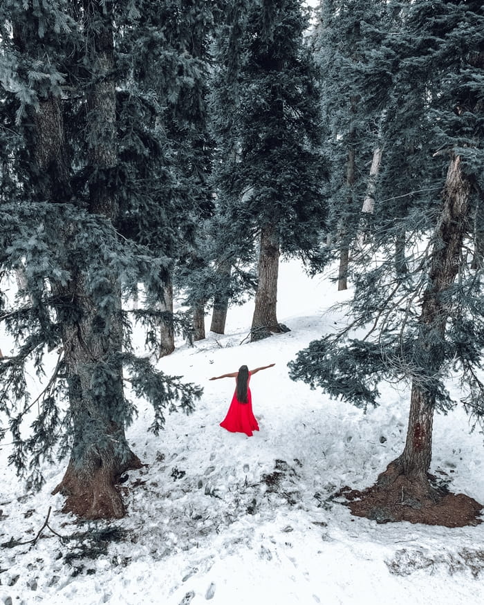 Kashmir is Ready to Welcome Tourists